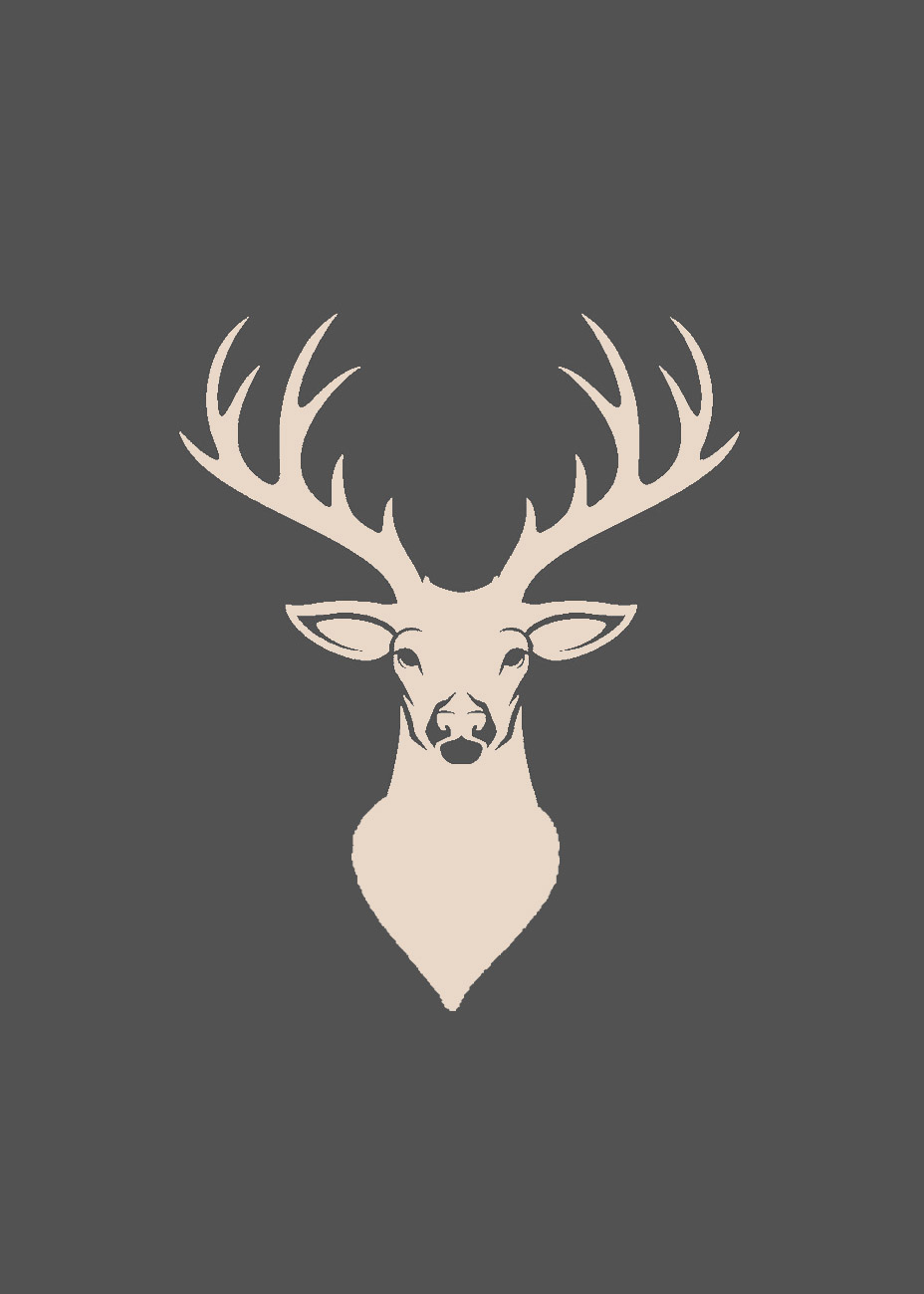 Geschirrtuch HIRSCH
