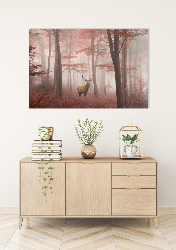 Akustikbild HIRSCH