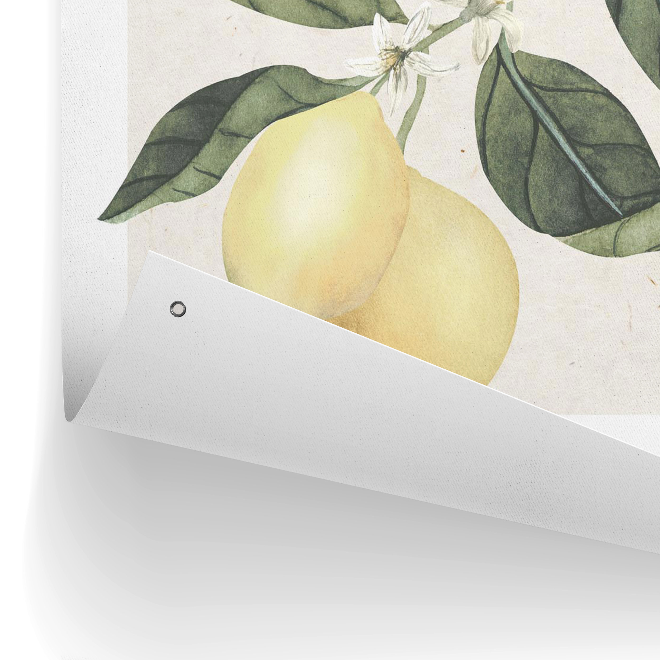 Outdoor Poster LIMONI