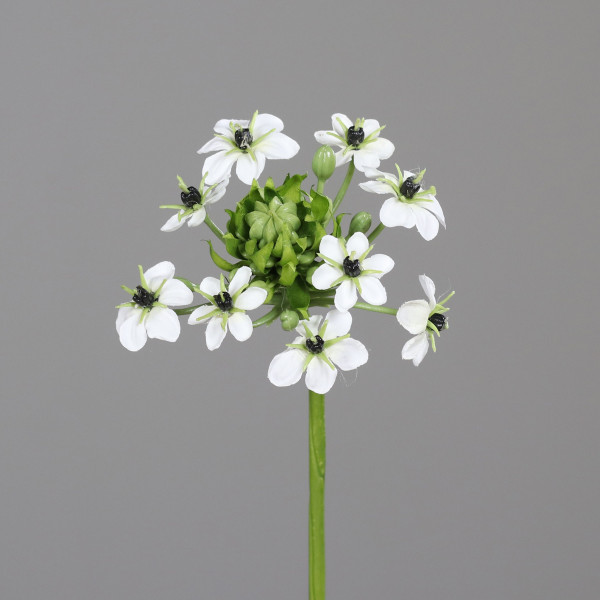 Kunstblume Ornitogalum in creme aus Kunststoff