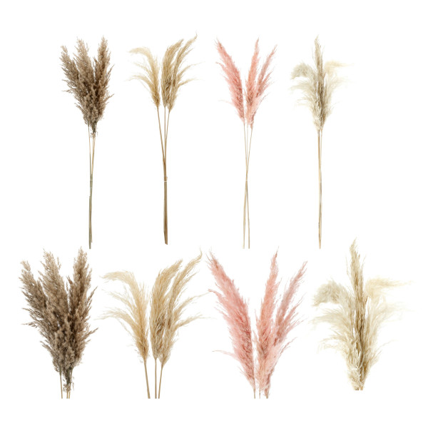 Kunstblume PAMPASGRAS STYLE II in mehrfarbig aus 100 % Naturmaterial