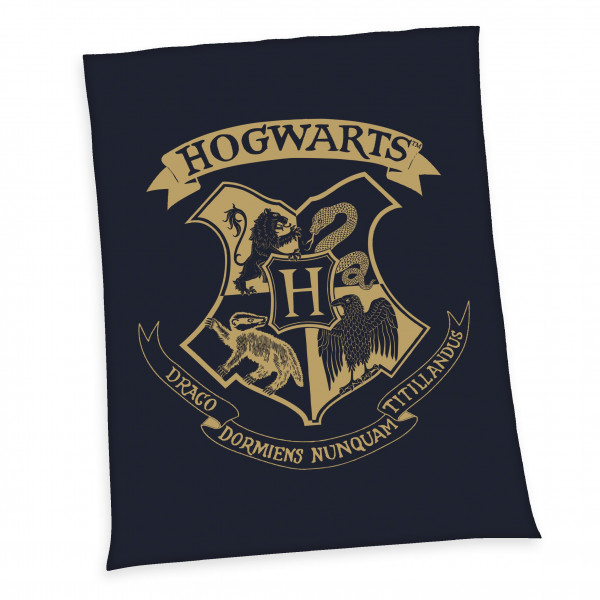 Decke Wellsoft HARRY POTTER in mehrfarbig aus Polyester