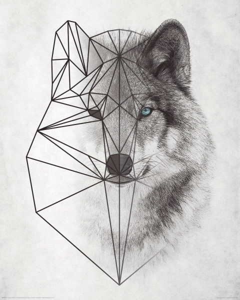 Bild POLYGONIC WOLF