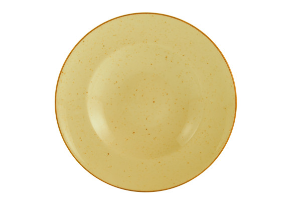 Pastateller VINTAGE in curry aus Porzellan