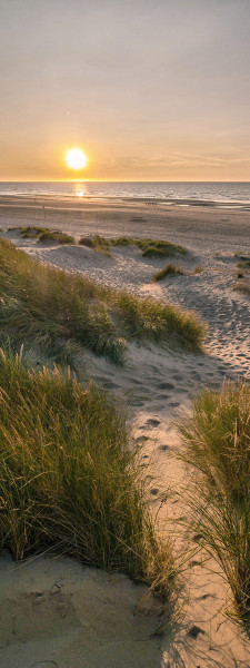 Glasbild WEG ZUM STRAND II