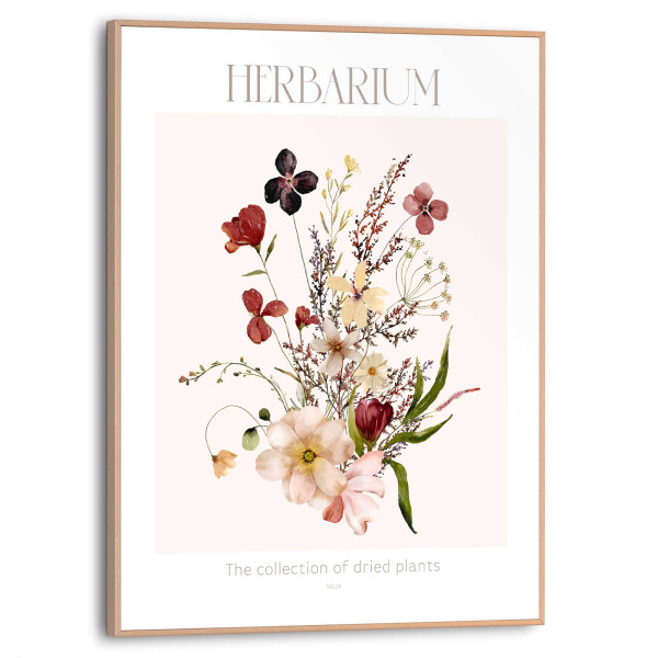 Bild HERBARIUM in mehrfarbig