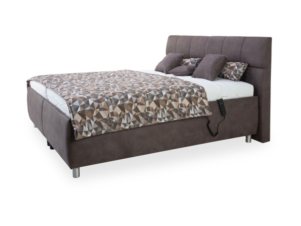 Polsterbett HARPER ANACO in 8/GDU19 aus Stoff