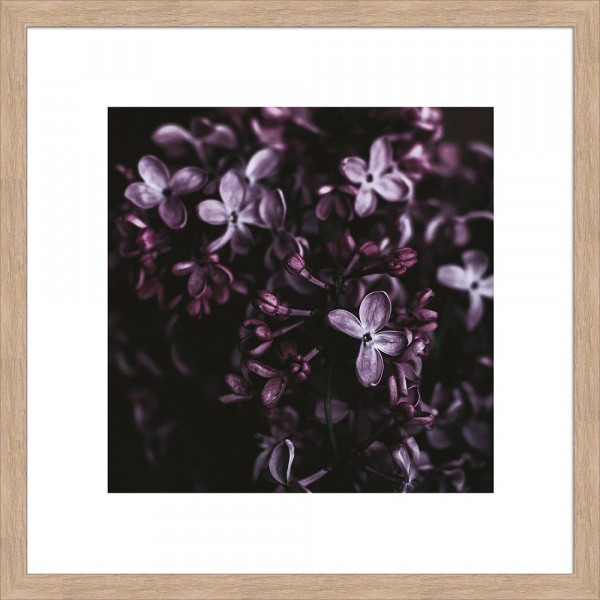 Gerahmtes-Bild DARK PURPLE