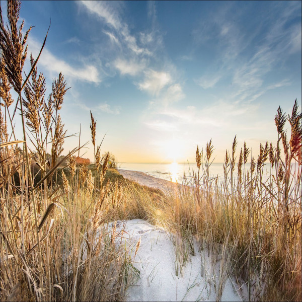 Aludibondbild WILDERSTRAND