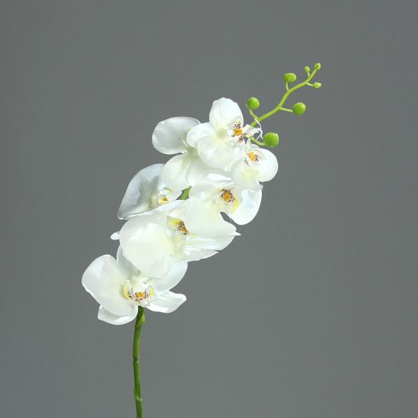 Kunstblume Phalaenopsis weiß