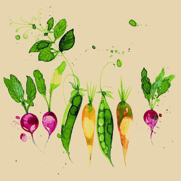 Servietten GREEN VEGETABLE in bunt aus Papier