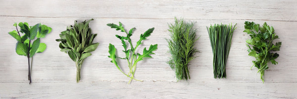 Bild KITCHEN HERBS in mehrfarbig aus Papier