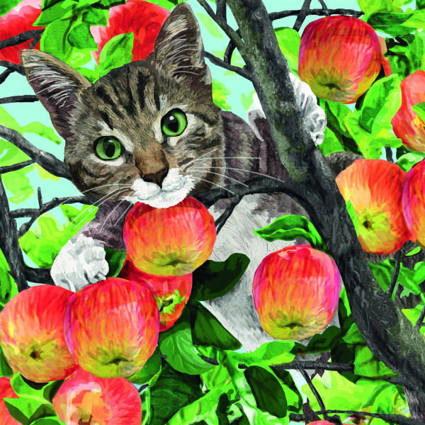 Servietten FUJI in bunt aus Papier