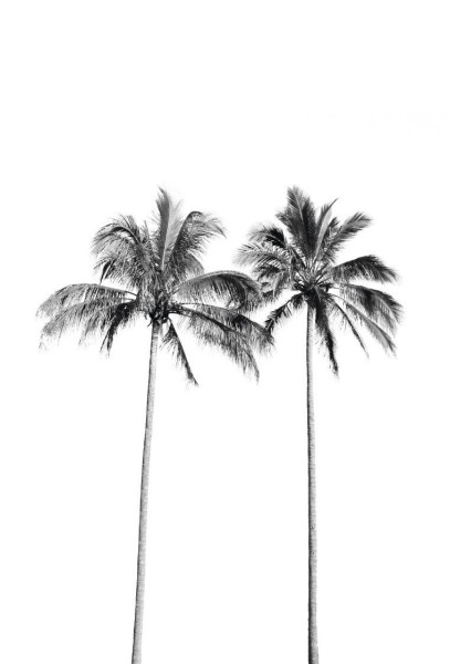 Bild TWO PALMTREES in schwarz/weiß/braun aus Holz