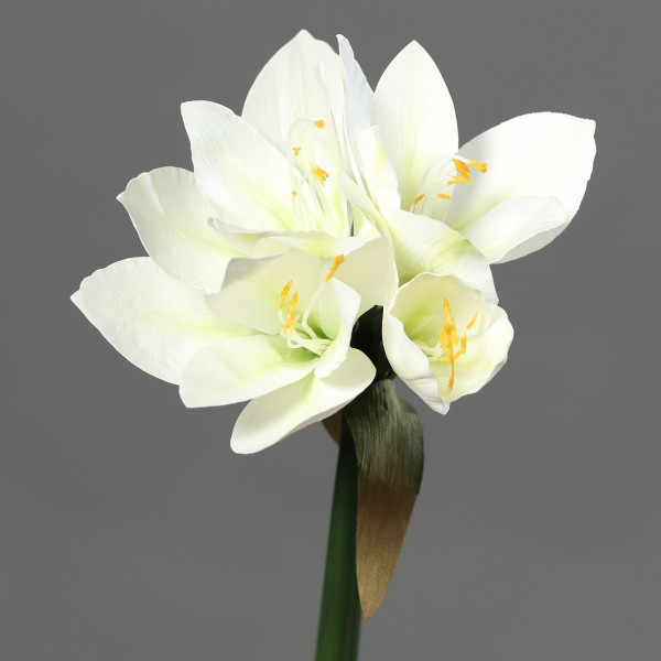 Kunstblume Amaryllis