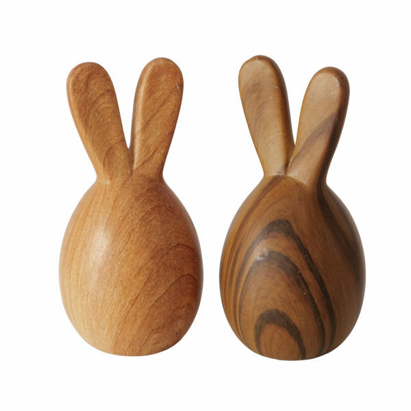 Hase WILHELMY