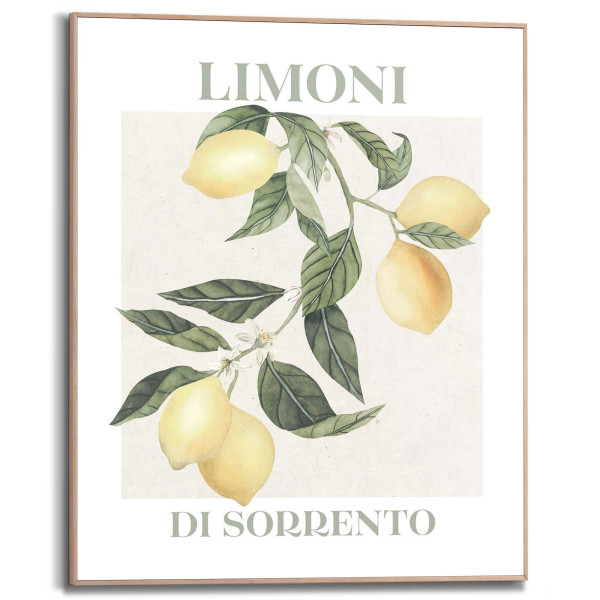 Bild LIMONI in mehrfarbig