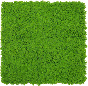 Wandpaneel MODULAR WALL Wandpaneel MODULAR WALL