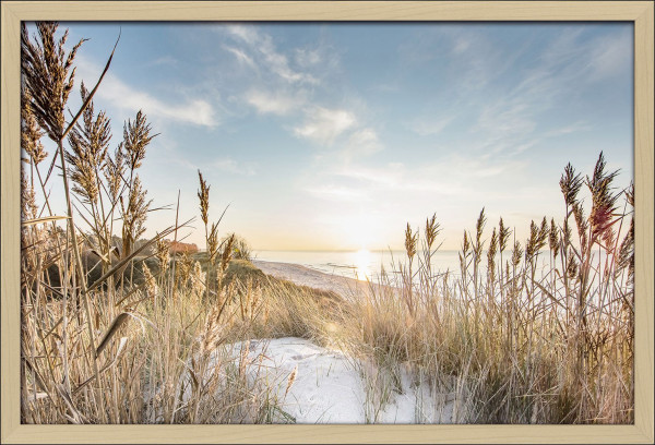 Gerahmtes Bild WILDER STRAND in mehrfarbig aus Holz