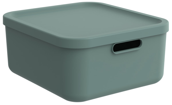 Box ALBULA LIGHT grün in grün aus Kunststoff