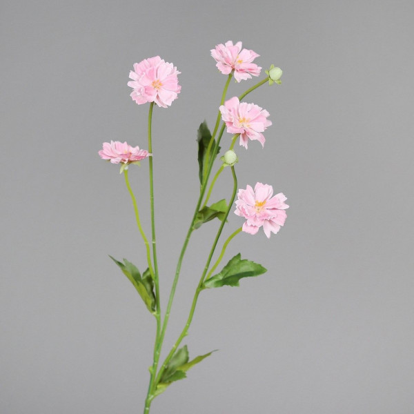 Kunstblume COSMEA