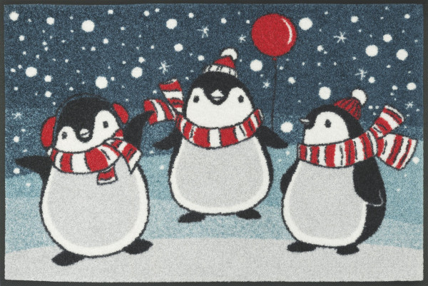 Fußmatte PINGUS in mehrfarbig aus Polyamid