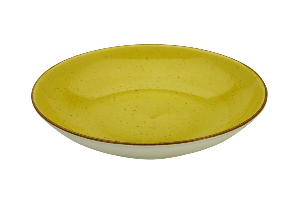 Speiseteller VINTAGE in curry aus Porzellan