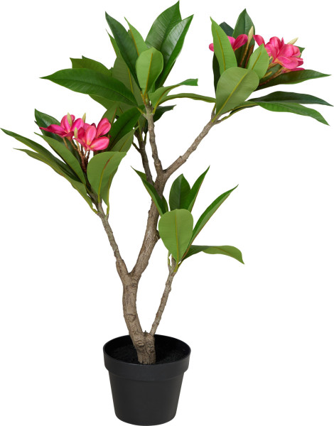 Kunstpflanze FRANGIPANI in mehrfarbig aus Polypropylen