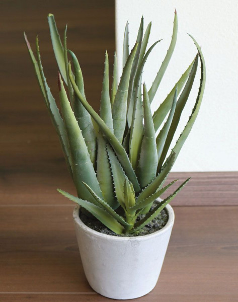 Kunstpflanze ALOE