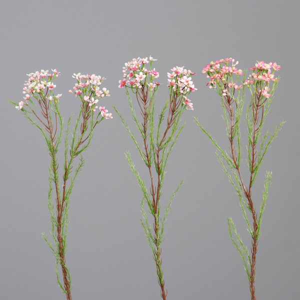 Kunstblume Waxkraut in mehrfarbig aus Kunststoff