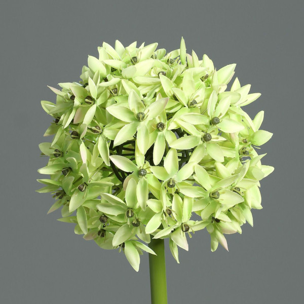 Kunstblume Allium