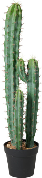 Kunstpflanze KAKTUS in grün aus Polypropylen