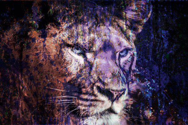 Akustikbild LÖWE IN BLAU