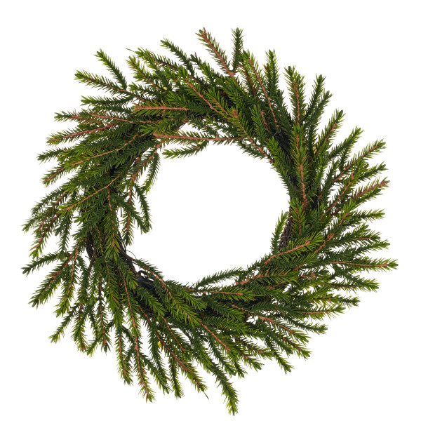 Fichtenkranz in grün