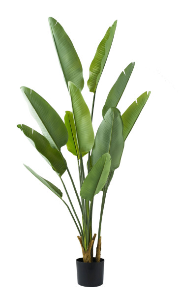 Kunstpflanze STRELIZIE in grün aus Materialmix