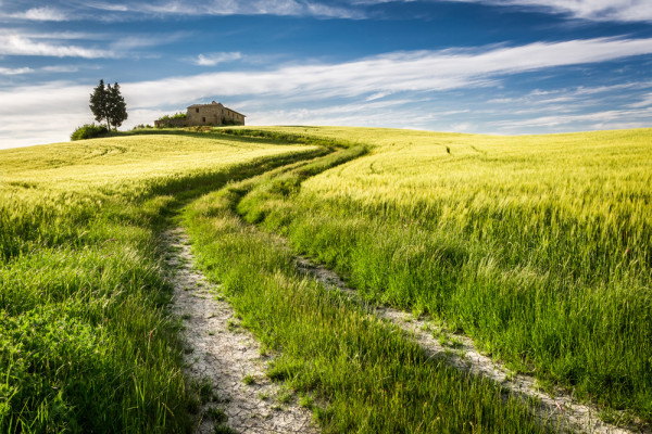 Akustikbild FELDWEG