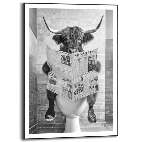 Bild HIGLANDER TOILET in mehrfarbig