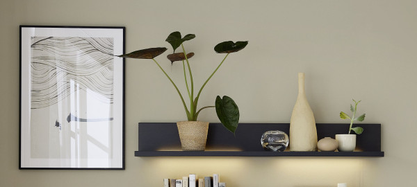 Wandboard MONDO ARTIST in Eiche Graphit aus Zubehör Möbel