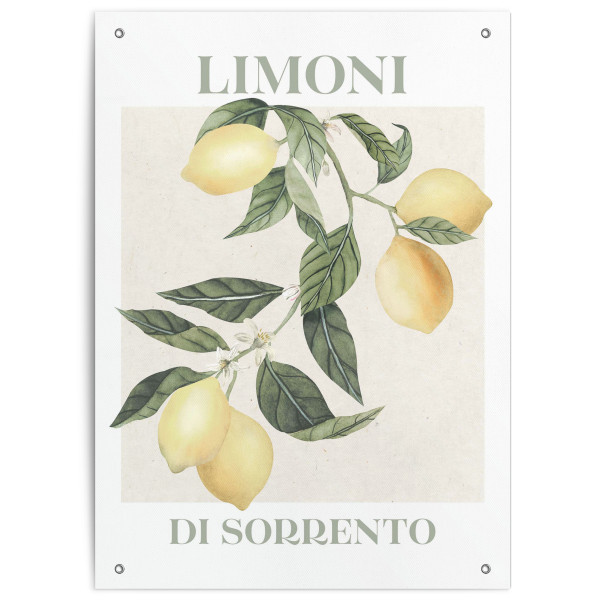 Outdoor Poster LIMONI in mehrfarbig aus PVC
