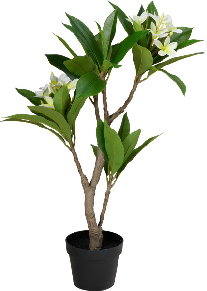 Kunstpflanze FRANGIPANI in mehrfarbig aus Polypropylen