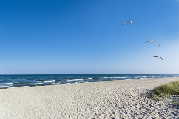 Akustikbild EINSAMER STRAND