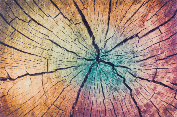 Fußmatte WOOD Land in mehrfarbig aus Polyamid