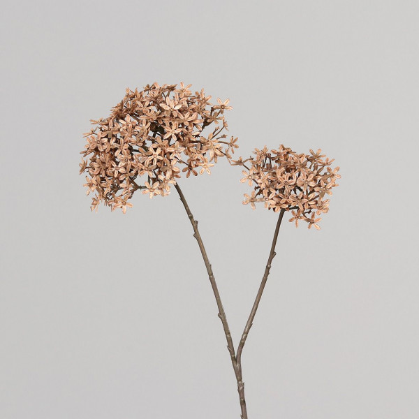 Kunstblume Holunderblüte in braun aus Kunststoff