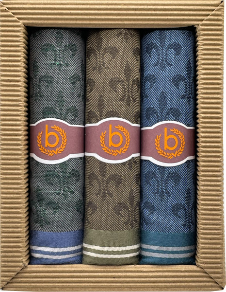 Taschentücher-Set bugatti in mehrfarbig aus Baumwolle