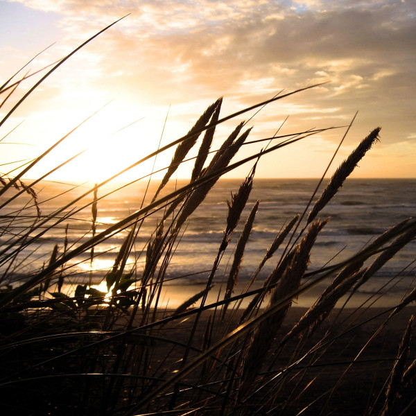 Keilrahmenbild Sylt