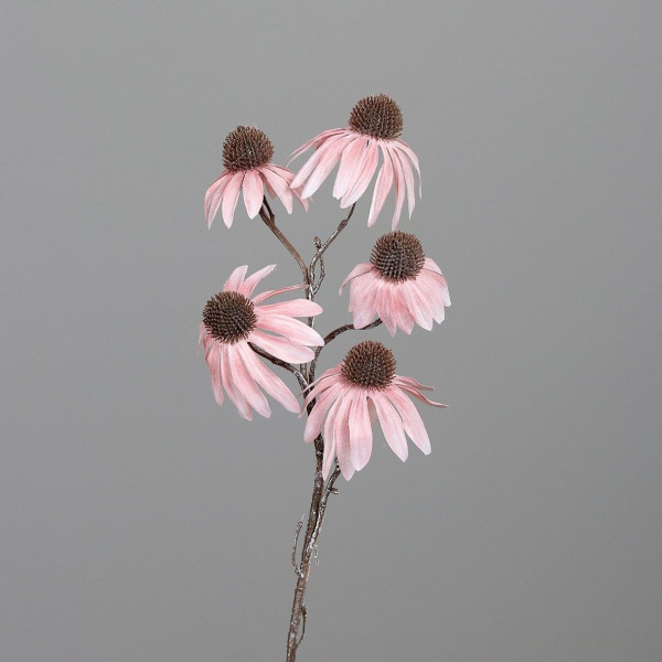 Kunstblume Sonnenhut in rose-white