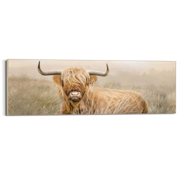 Bild HIGHLANDER NATURE in mehrfarbig