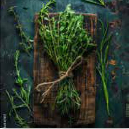 Glasbild HERBAL BUNCH in mehrfarbig aus Glas