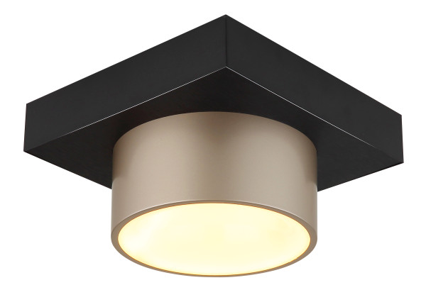 Deckenleuchte RAYMOND in schwarz aus Metall