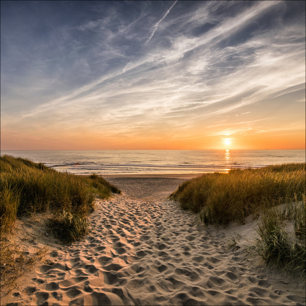 Glasbild WEG ZUM STRAND